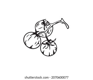 Tomates cerezos dibujados con un contorno negro, icono