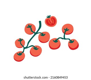 Cherry tomatoes growing on branch. Small vegetables on food plant. Red ripened natural raw veggies on twigs. Flat vector illustration isolated on white background .