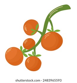 Cherry tomatoes growing on branch. Fresh ripe red vegetables on food plant. Small health veggies. Natural organic farm crop. Flat vector illustration isolated on white background