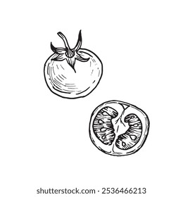 Tomates cherry Ilustraciones vectoriales dibujadas a mano. entero y medio tomate dibujado con tinta. Elemento para el diseño de etiquetas de alimentos y menú del restaurante. 