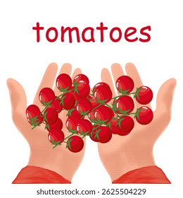 Tomates cereja em mãos, ilustração de meio-tom de mãos segurando azeitonas ternamente, textura pontilhada preto e branco, estilo de arte pop retro design isolado no fundo branco, conceito de frutas de verão. Vetor