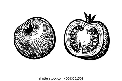 Cherry tomatoes. Ink sketch of isolated on white background. Hand drawn vector illustration. Retro style.