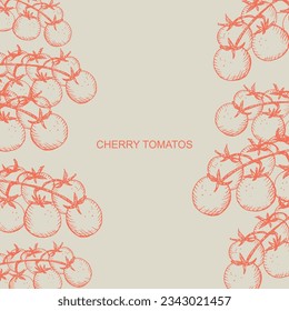 Fondo de plantilla de etiqueta de tomates cerezos para texto. Frutas y ramas de la ilustración vectorial de la planta de tomate, verduras orgánicas. Para etiqueta, embalaje, logotipo, tarjeta, banner.Elemento de diseño dibujado a mano.