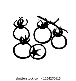 Cherry Tomatoes line art in vector. Traditional hand drawing