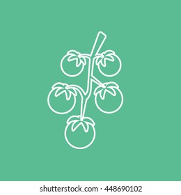 Cherry Tomatoes Line Icon On Green Background