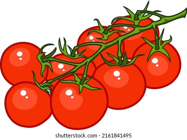 Cherry tomatoes on a branch. Round red vegetables. Color vector graphics.