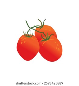 cherry tomatoes on a twig are isolated on a white background. red ripe tomatoes