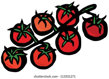 Cherry Tomatoes on a Vine