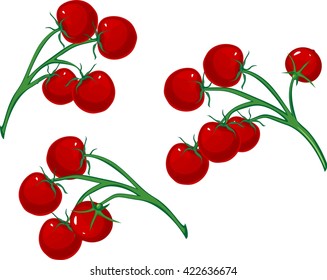 Cherry tomatoes on the vine