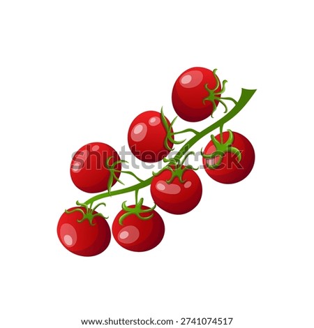 Cherry tomatoes on the vine