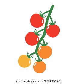 cherry tomatoes simple vector illustration
