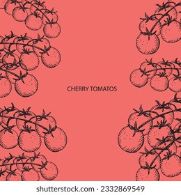 Cherry tomatoes template background with tomato branches for text, label, print, logo, card.Vector illustration of vegetable engraved  hand drawn . Food backdrop, harvest tomato, design element