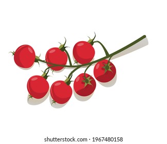Cherry tomatoes. Vector drawing on a white background. Cartoon style. Flat. Can be used in web design.