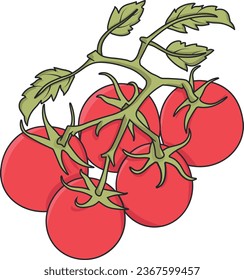 cherry tomatoes vector illustration, ketchup