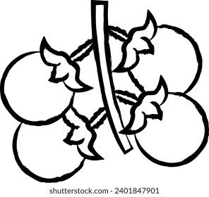 Cherry tomatos hand drawn vector illustration