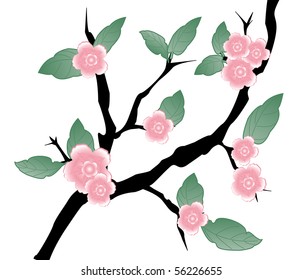 Cherry tree