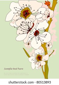 Cherry tree blossom