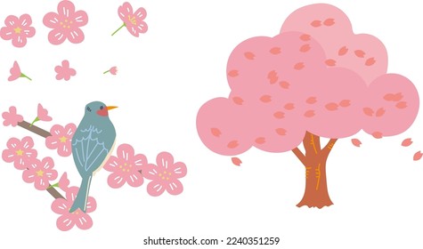 Rama de cerezo y flor de cerezo con material de ilustración de bulbul orejeado
