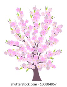 Cherry tree blossom illustration vector