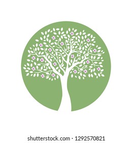 cherry tree blossom, logo icon