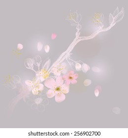 Cherry tree is in blossom / Romantic floral card with pink flowers     
