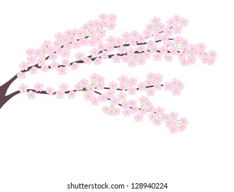 Cherry tree blossom vector