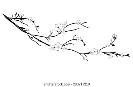 Cherry Tree Branch Silhouette