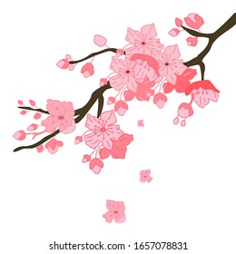 Sakura Branch Isolated On White Background Stock Vector (Royalty Free ...