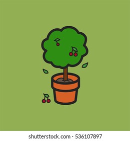 Cherry tree in a clay pot