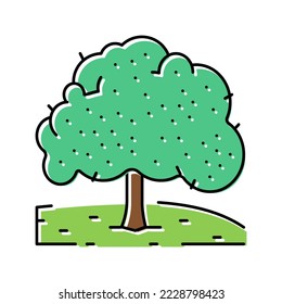 cherry tree color icon vector. cherry tree sign. isolated symbol illustration