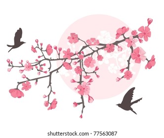 Cherry tree with flower and birds.