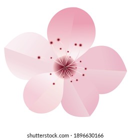 Icono del manantial de flores del árbol de cerezo