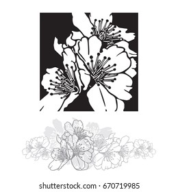 Cherry Tree Flower. Vector Illustration of Beautiful Sakura Blossom in Black Square Shape Isolated on White Background.
The result of black and white auto-trace adapted for easy use.