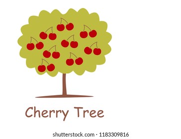 Cherry tree fruits coloring colorful for childreen vector illustration design. Vector cherry tree isolated on white background