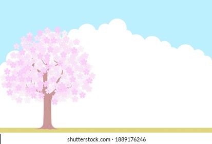 Cherry tree in full bloom, blue sky and cloud background, illustration material