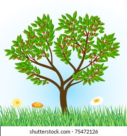 cherry tree with grass and flowers