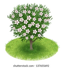 Cherry Tree in green field, illustration