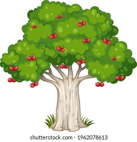 Cherry tree isolated on white background illustration