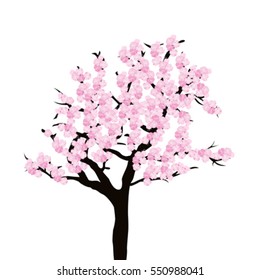 Cherry tree isolated on white background