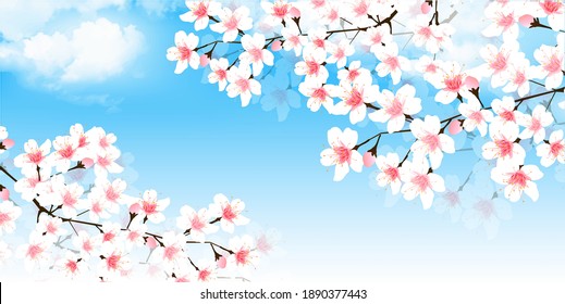 51,406 Cherry Blossom Tree Vector Images, Stock Photos & Vectors ...