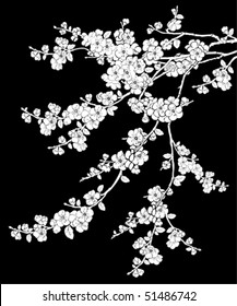 Cherry tree on black background