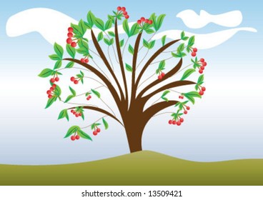 The cherry tree on the grand