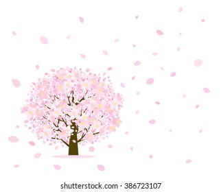 Cherry tree and petal