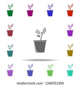 cherry tree in pot illustration icon. Elements of Fruit in pot in multi color style icons. Simple icon for websites, web design, mobile app, info graphics