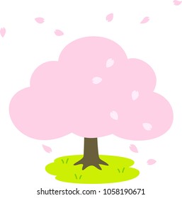 A cherry tree and a scattering petal