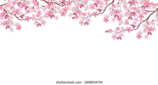 Cherry tree spring flower background