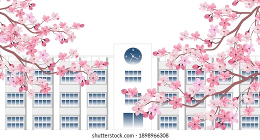 Cherry tree spring flower background