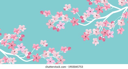 Cherry tree spring flower background