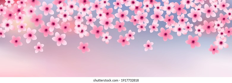 Cherry tree spring flower background