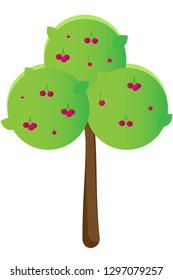 cherry tree vector illustration